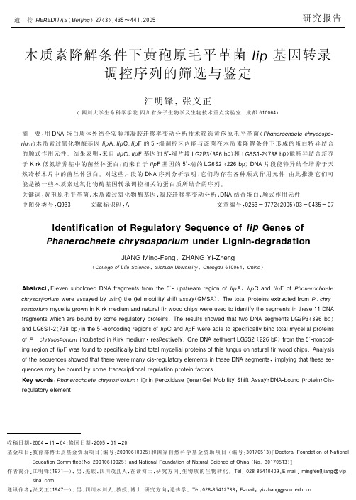 木质素降解条件下黄孢原毛平革菌lip基因转录调控序列的筛选与鉴定