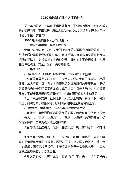 2020急诊科护理个人工作计划