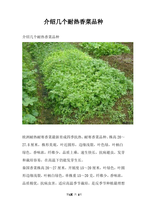 介绍几个耐热香菜品种