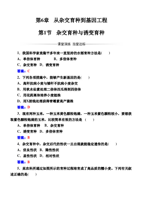 (人教版)高中生物必修二第6章第1节杂交育种与诱变育种 Word版含解析