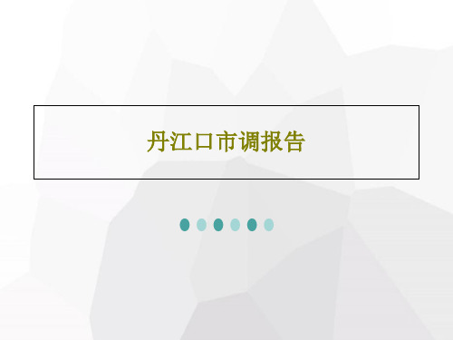 丹江口市调报告41页文档