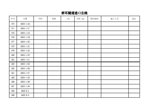 桥耳隧道专项行动台账