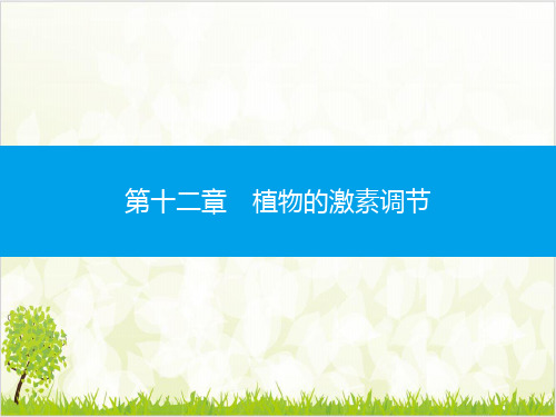 植物的激素调节 优质课件 小高考学业水平测试生物复习ppt