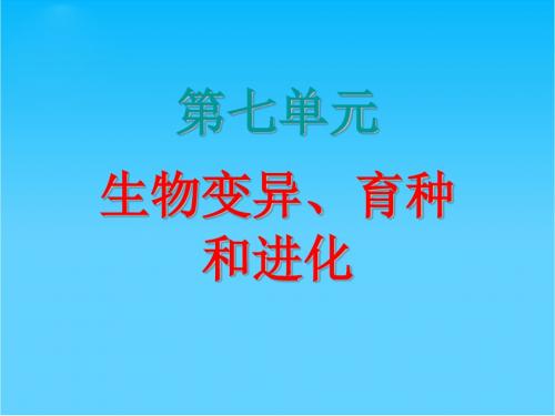 高三生物复习 从杂交育种到基因工程课件