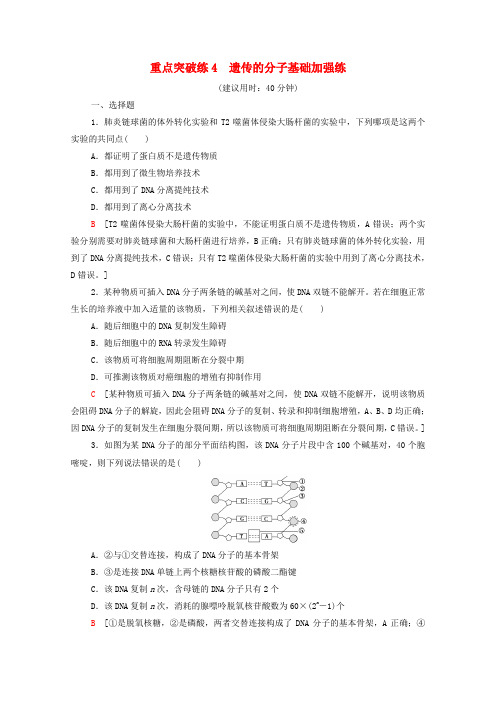 新教材高中生物重点突破练4遗传的分子基础加强练(含解析)浙科版必修2