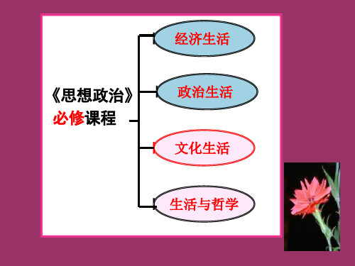 1.1.1zy体味文化