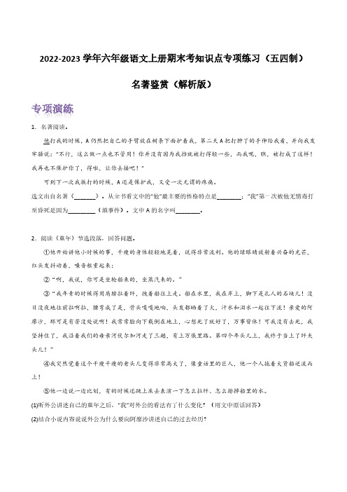 名著鉴赏(解析版)-2022-2023学年六年级语文上册期末考前单元复习+专项演练+模拟金卷