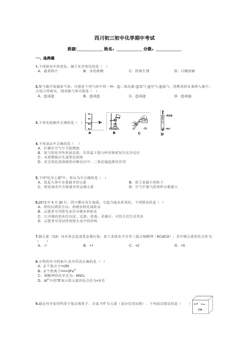 四川初三初中化学期中考试带答案解析
