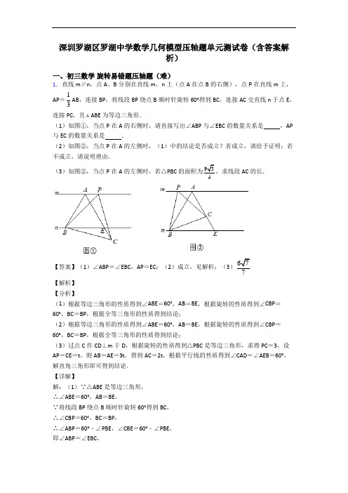 深圳罗湖区罗湖中学数学几何模型压轴题单元测试卷(含答案解析)