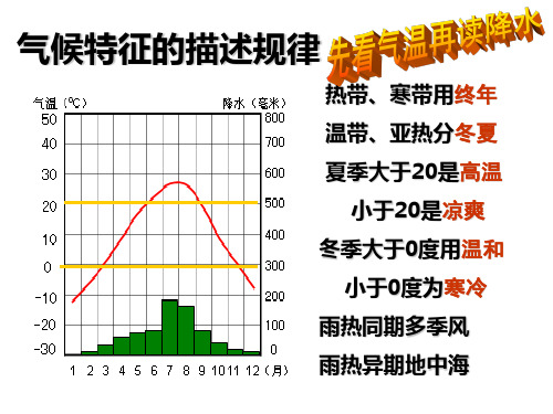 认识大洲复习