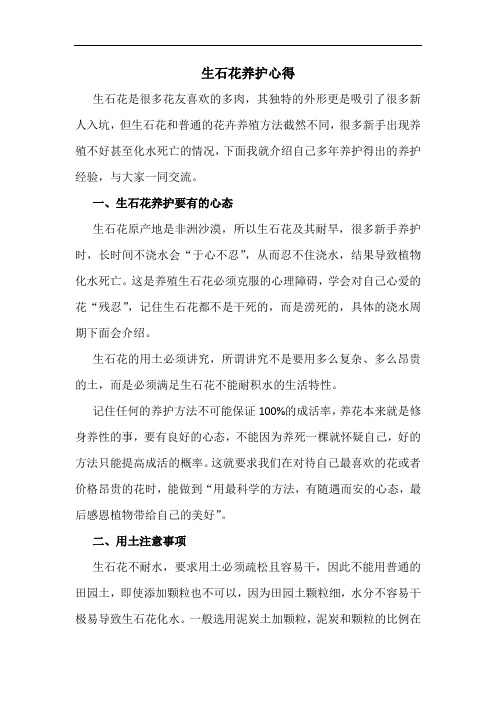 生石花养护心得