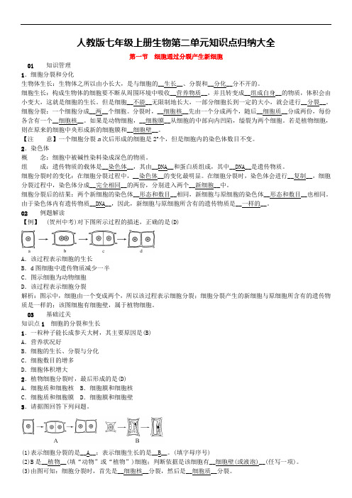 人教版七年级上册生物第二单元 《细胞怎样构成生物体》知识点归纳