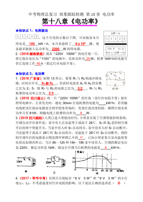 中考物理总复习 效果跟踪检测 第18章 电功率