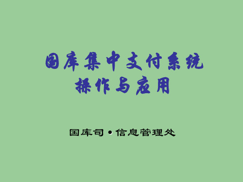 国库集中支付系统