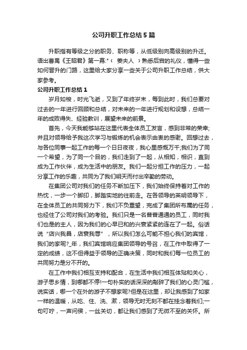 公司升职工作总结5篇