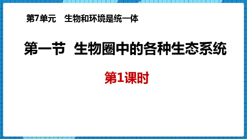 苏教版八年级上册生物《生物圈中的各种生态系统》PPT课件(第1课时)