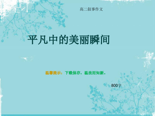 高二叙事作文《平凡中的美丽瞬间》800字