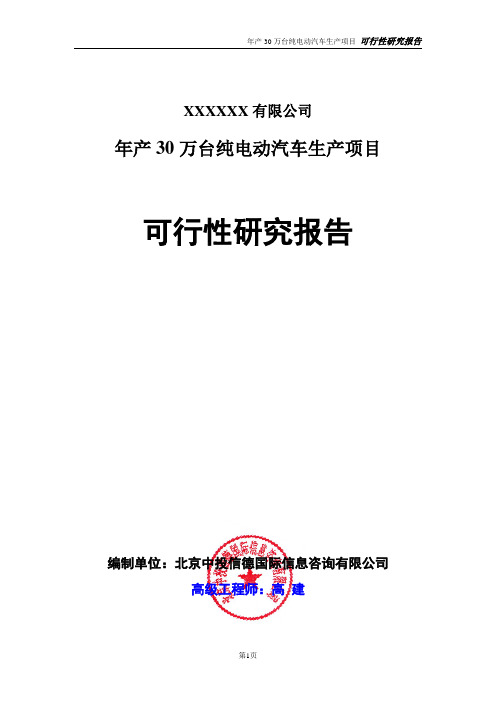 年产30万台纯电动汽车生产项目可行性研究报告