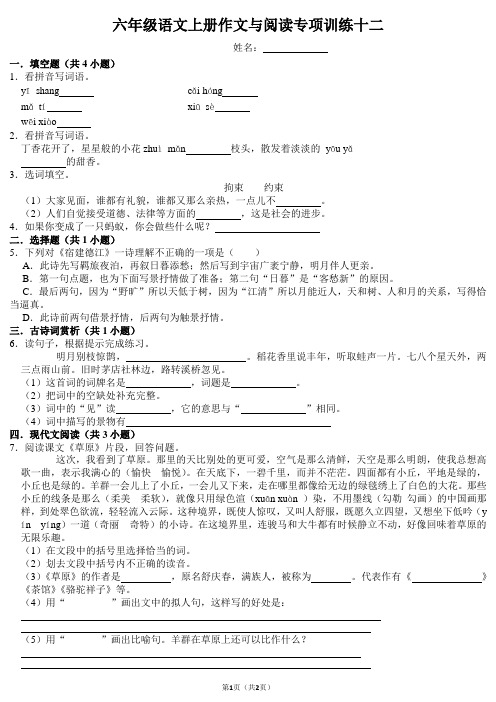 六年级语文上册作文与阅读专项训练十二