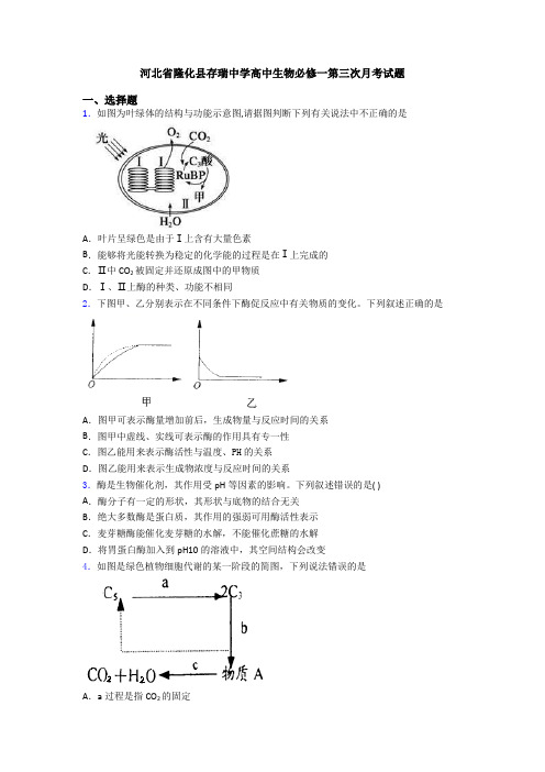 河北省隆化县存瑞中学高中生物必修一第三次月考试题