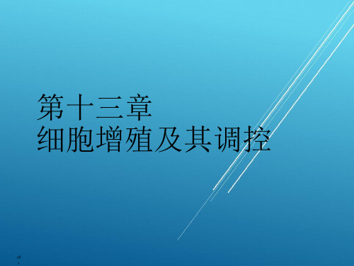 第十四章 细胞增殖及其调控 YJ——【细胞生物学】