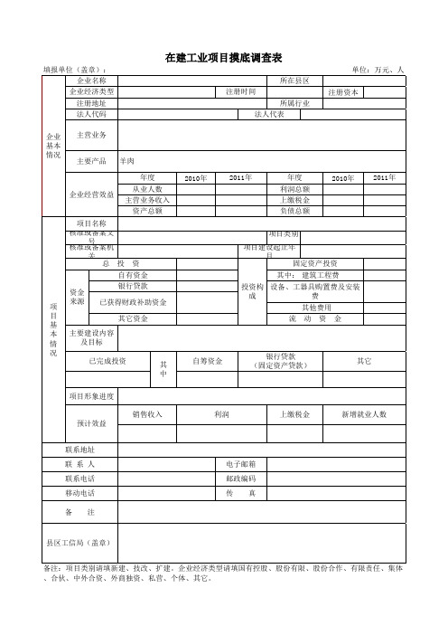 在建工业项目摸底调查表