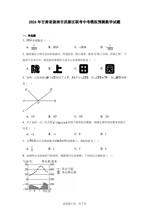 2024年甘肃省陇南市武都区联考中考模拟预测数学试题