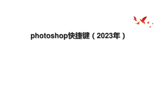 photoshop快捷键(2023年)