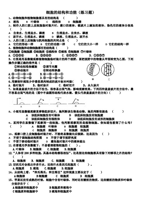 细胞的结构和功能(练习题及答案)