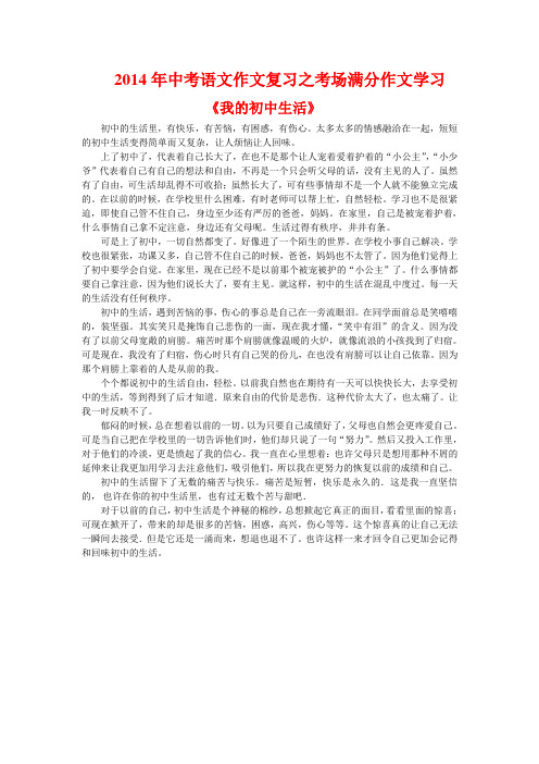 2014年中考语文作文复习之考场满分作文学习