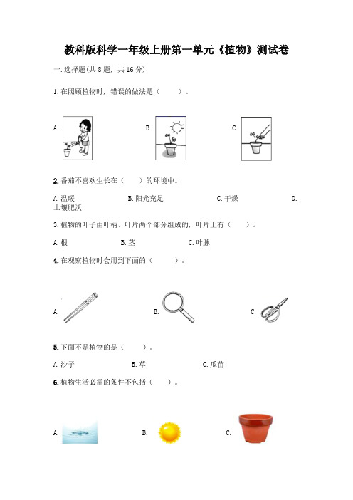 教科版科学一年级上册第一单元《植物》测试卷带答案(综合卷)