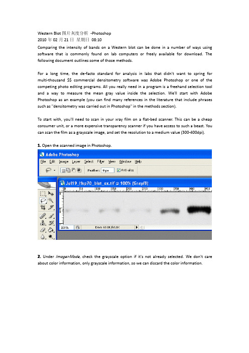 Western Blot图片灰度分析 -Photoshop