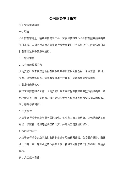 公司财务审计指南