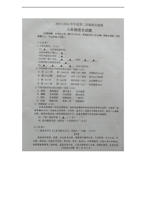 [首发]江苏省邳州市2015-2016学年八年级下学期期末质量检测语文试题(图片版)