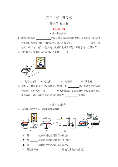 磁生电(作业设计)