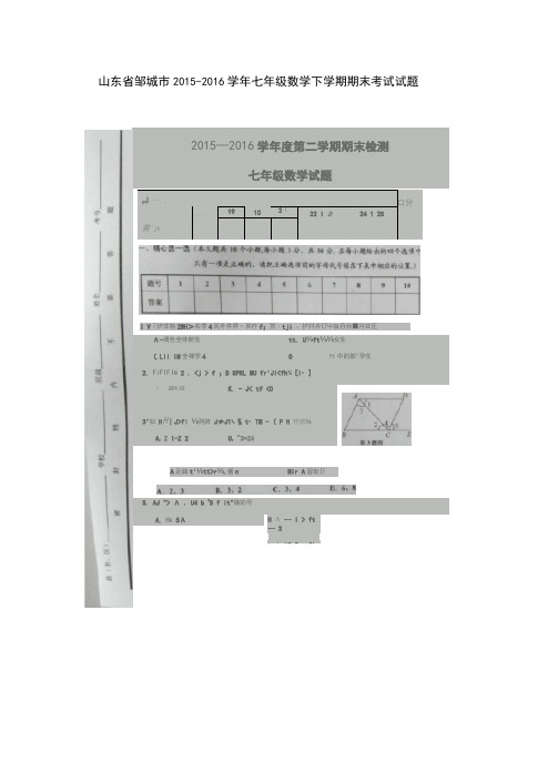 山东省邹城市七年级数学下学期期末考试试题