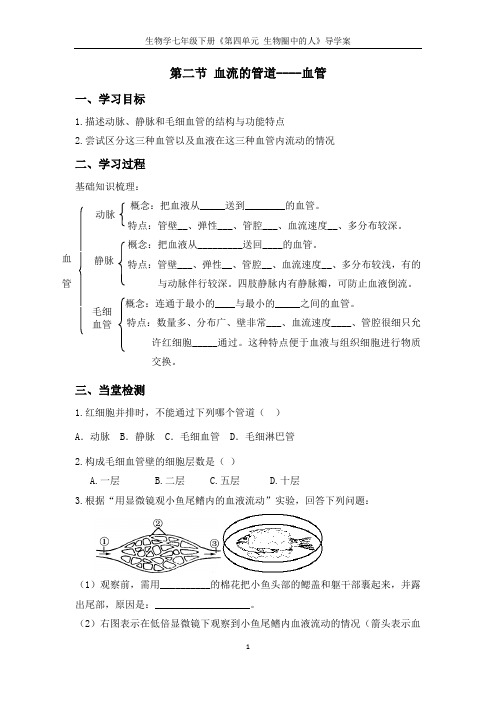 生物七年级下-4-2 学案