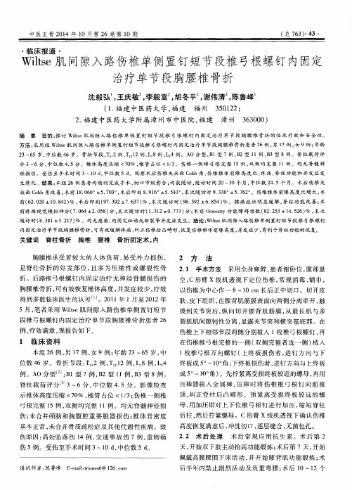 Wiltse肌间隙入路伤椎单侧置钉短节段椎弓根螺钉内固定治疗单节段胸