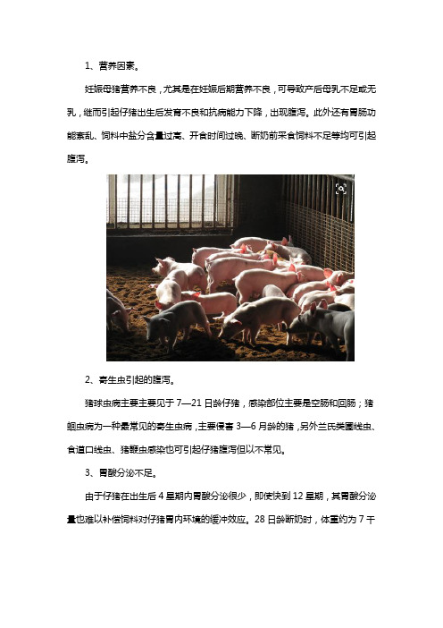 导致猪群腹泻的原因及防止措施