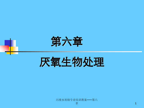 污废水初级专业培训教案——第六章