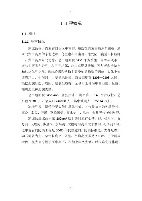 大榆树沟防洪治理工程初步设计报告
