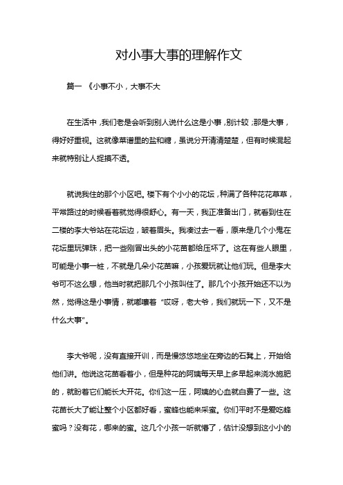 对小事大事的理解作文