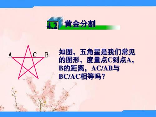 八年级数学下4.2黄金分割课件北师大版