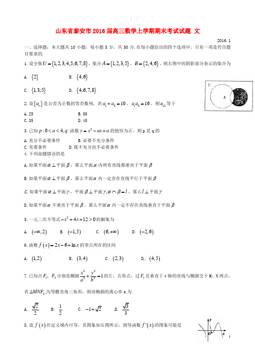 山东省泰安市高三数学上学期期末考试试题文