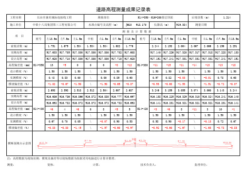 道路高程测量成果记录表-自动计算