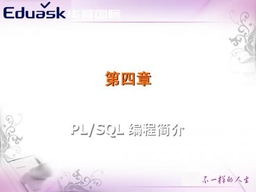 oracle  第4章plsql编程