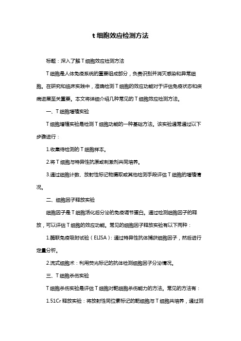 t细胞效应检测方法