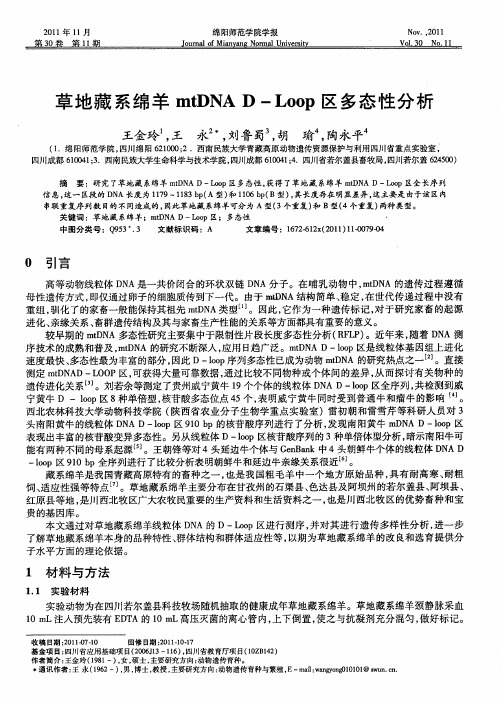 草地藏系绵羊mtDNA D-Loop区多态性分析