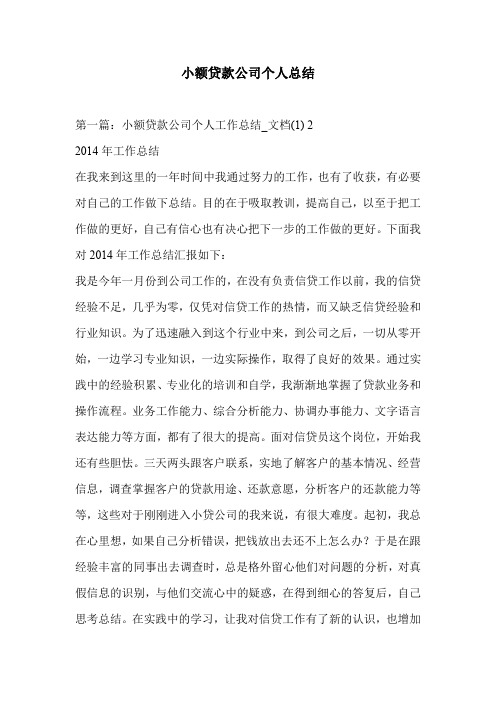 小额贷款公司个人总结