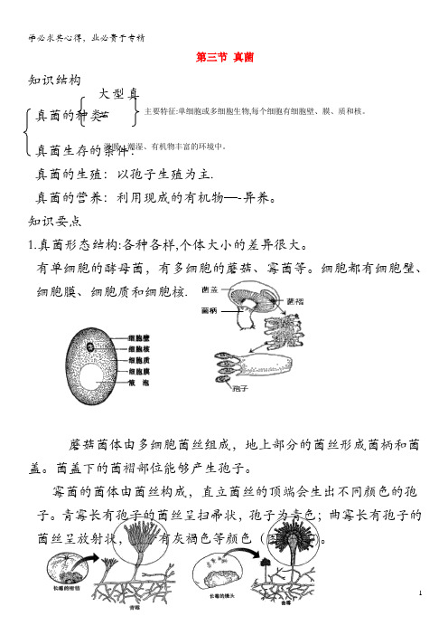 八年级生物上册 第五单元 第四章 第三节 真菌教案 (新)新